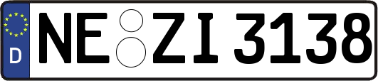 NE-ZI3138