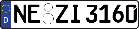 NE-ZI3160