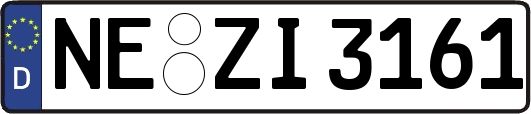 NE-ZI3161