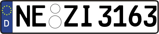 NE-ZI3163