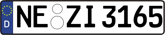NE-ZI3165