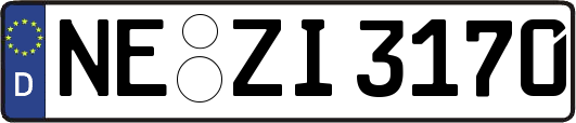 NE-ZI3170