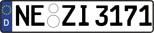 NE-ZI3171
