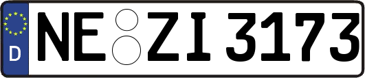 NE-ZI3173