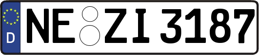NE-ZI3187