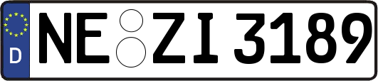 NE-ZI3189