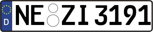NE-ZI3191