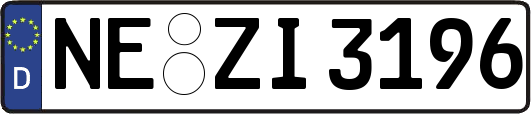 NE-ZI3196