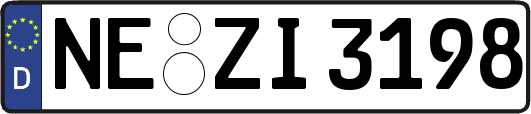 NE-ZI3198
