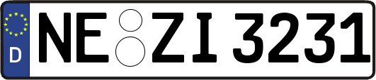 NE-ZI3231