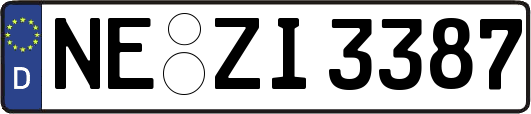 NE-ZI3387