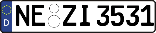 NE-ZI3531