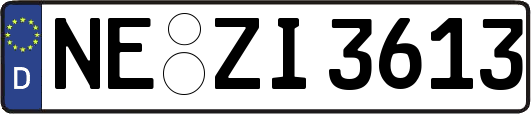 NE-ZI3613