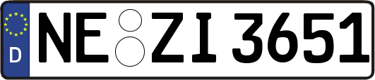 NE-ZI3651