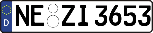 NE-ZI3653