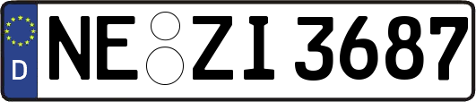 NE-ZI3687