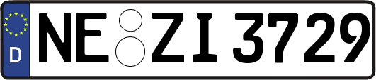 NE-ZI3729