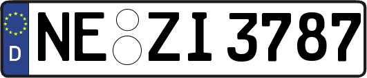 NE-ZI3787
