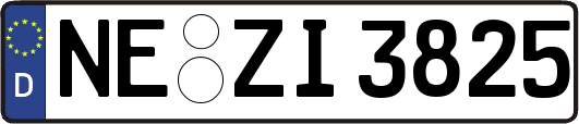NE-ZI3825
