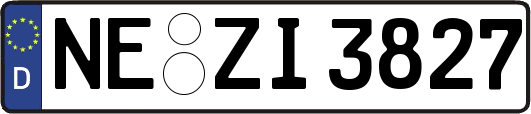 NE-ZI3827