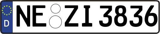 NE-ZI3836
