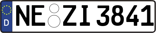 NE-ZI3841