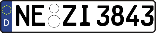 NE-ZI3843