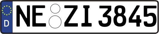 NE-ZI3845
