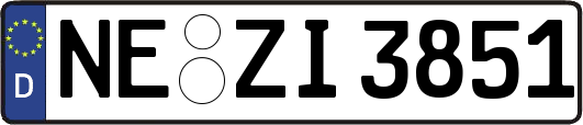NE-ZI3851