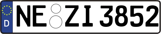 NE-ZI3852