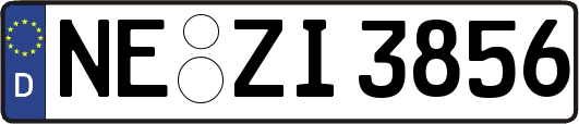 NE-ZI3856