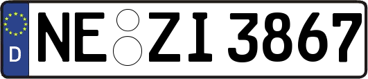 NE-ZI3867