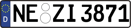 NE-ZI3871