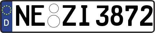 NE-ZI3872