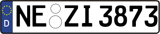 NE-ZI3873