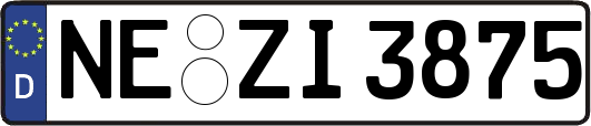 NE-ZI3875