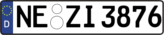 NE-ZI3876