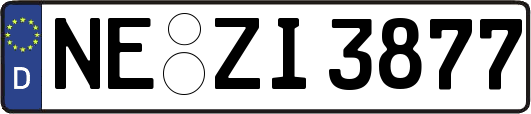 NE-ZI3877