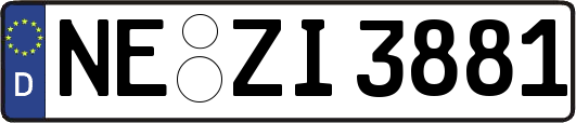NE-ZI3881