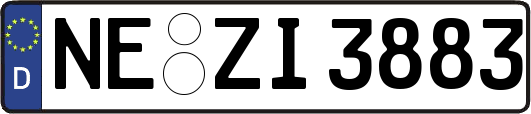 NE-ZI3883