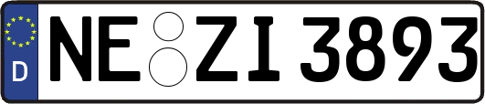 NE-ZI3893