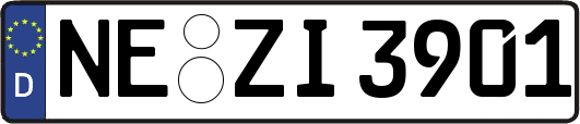 NE-ZI3901