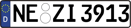 NE-ZI3913
