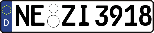 NE-ZI3918