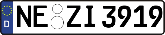 NE-ZI3919