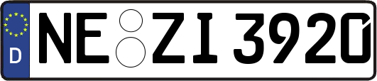 NE-ZI3920