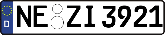 NE-ZI3921