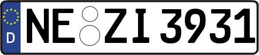 NE-ZI3931
