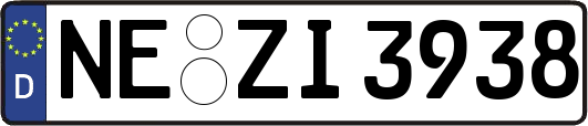 NE-ZI3938