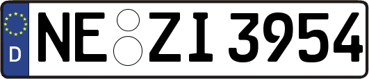 NE-ZI3954
